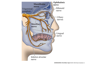 Ear Pain After Tonsillectomy- a diagram